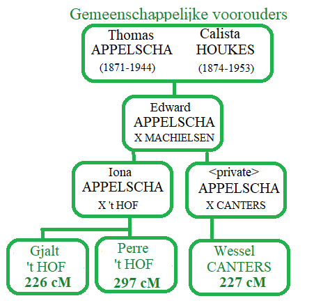 genetische genealogie 5 cluster 3